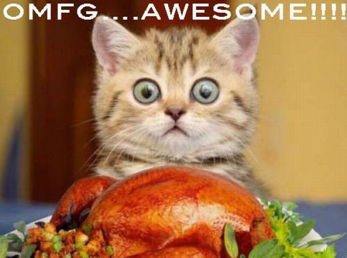 Funny-Thanksgiving-Photo-Image