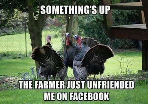 Funny-Thanksgiving-Profile-Pictures-Facebook