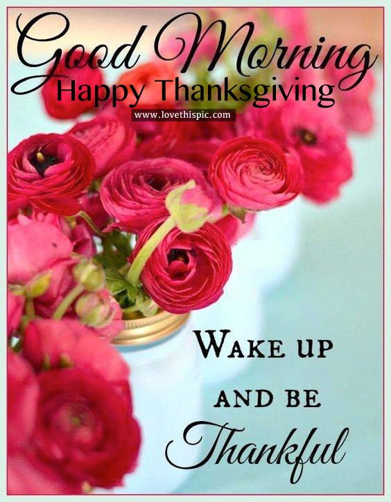 Good Morning Happy Thanksgiving Wake Up And Be Thankful Image