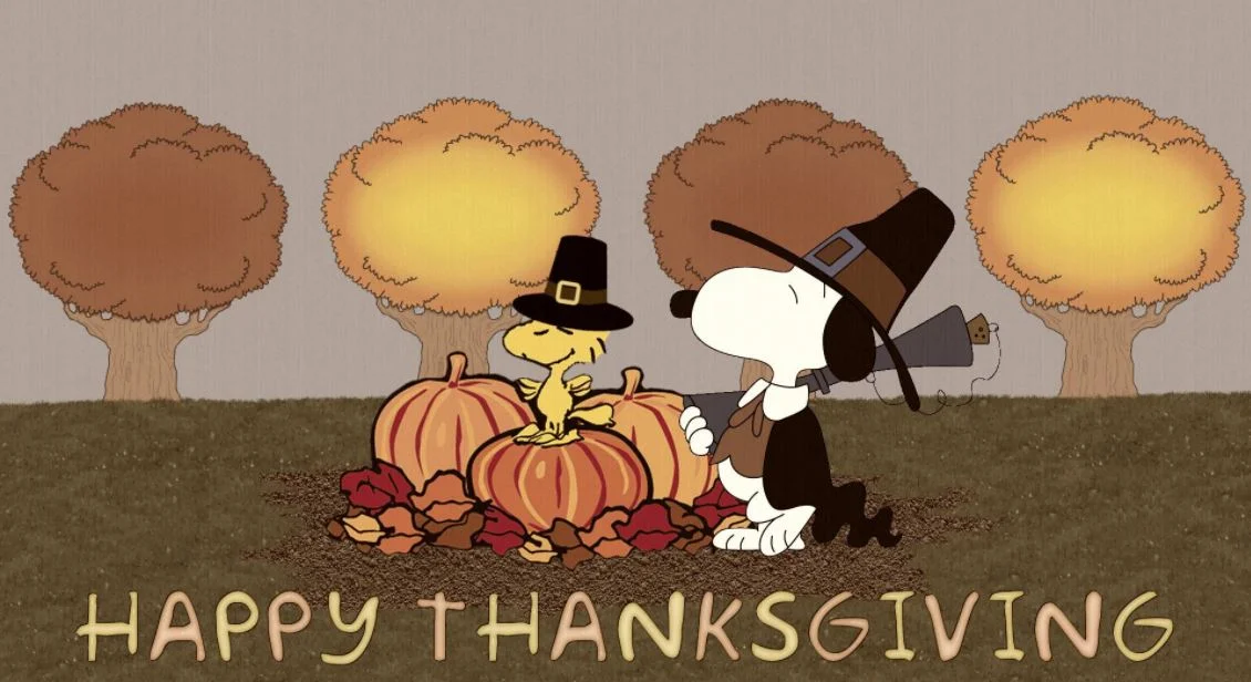 Funny Thanksgiving Desktop Wallpaper